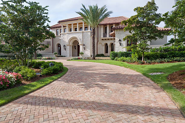 Best Driveway Paving Contractor  in Wolfforth, TX
