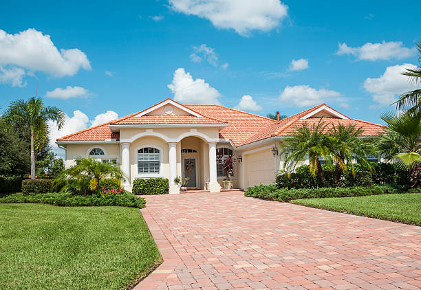 Best Driveway Paving Near Me  in Wolfforth, TX